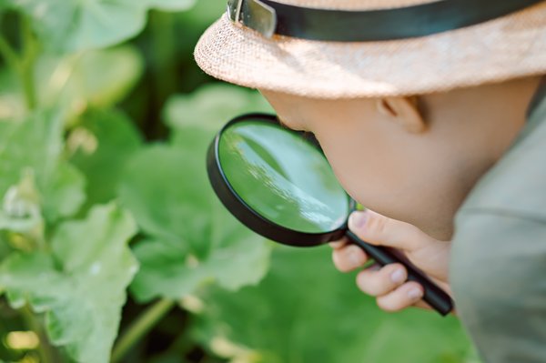 L'importance de la loupe dans notre vie quotidienne